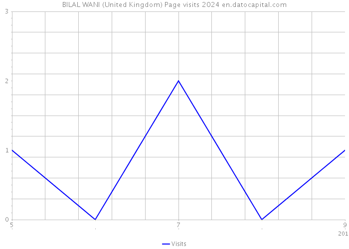 BILAL WANI (United Kingdom) Page visits 2024 
