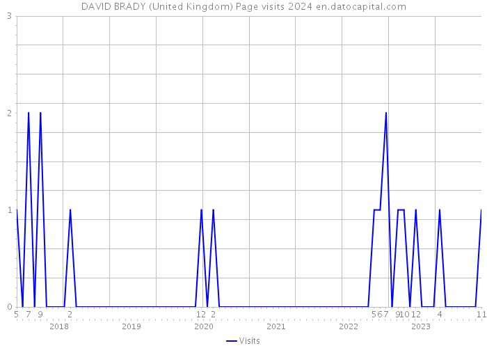 DAVID BRADY (United Kingdom) Page visits 2024 