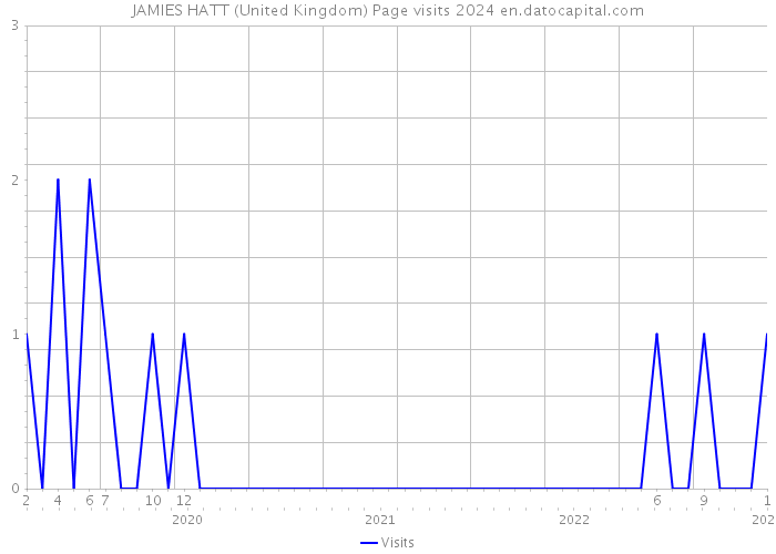 JAMIES HATT (United Kingdom) Page visits 2024 
