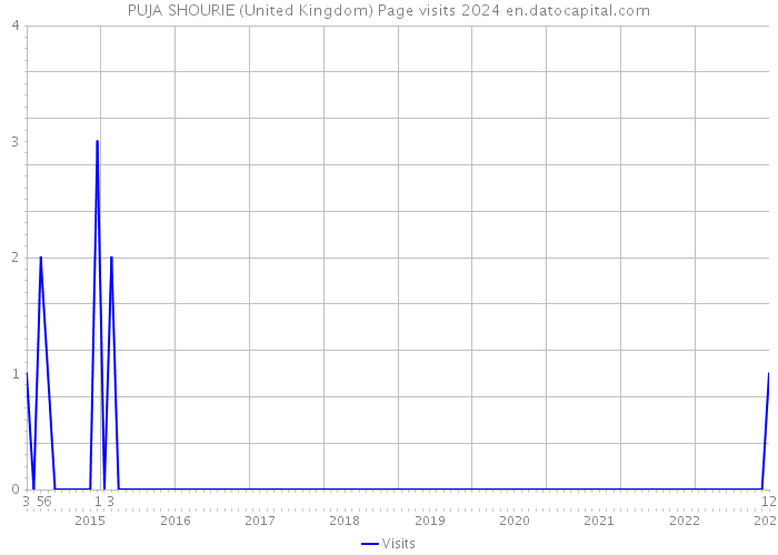 PUJA SHOURIE (United Kingdom) Page visits 2024 