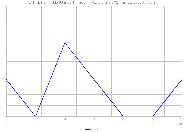 CARNET LIMITED (United Kingdom) Page visits 2024 