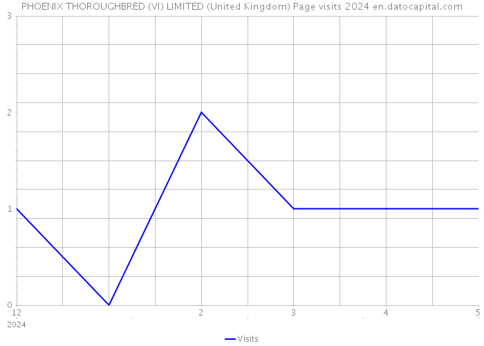 PHOENIX THOROUGHBRED (VI) LIMITED (United Kingdom) Page visits 2024 