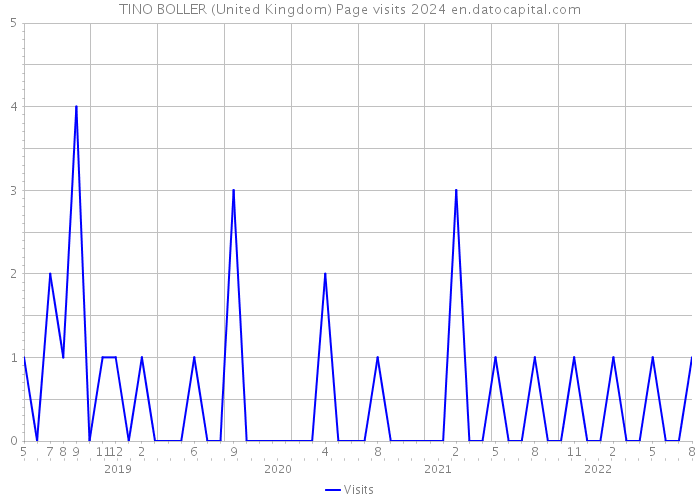 TINO BOLLER (United Kingdom) Page visits 2024 