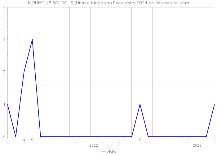 MOUHCINE BOUROUS (United Kingdom) Page visits 2024 