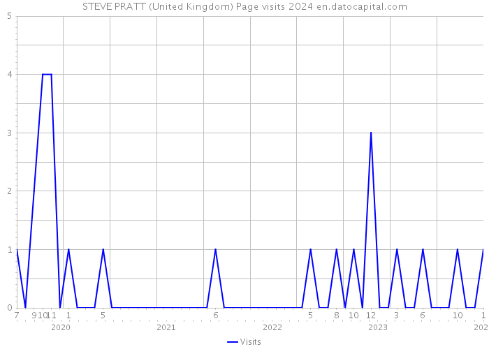 STEVE PRATT (United Kingdom) Page visits 2024 