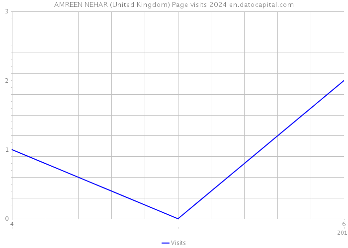 AMREEN NEHAR (United Kingdom) Page visits 2024 