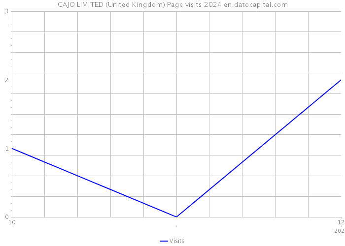 CAJO LIMITED (United Kingdom) Page visits 2024 