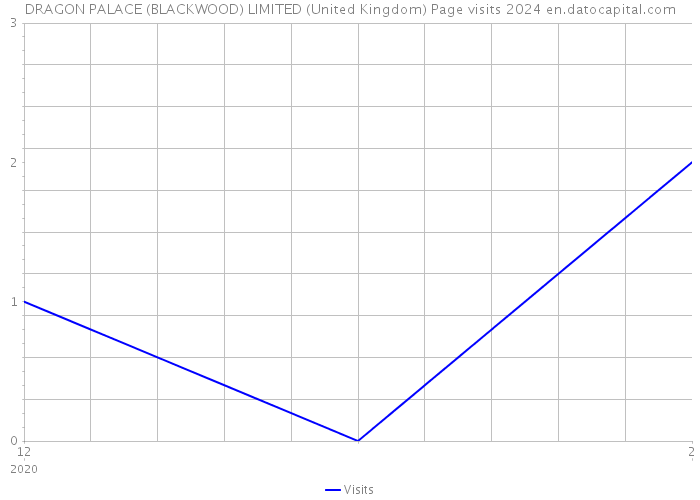 DRAGON PALACE (BLACKWOOD) LIMITED (United Kingdom) Page visits 2024 