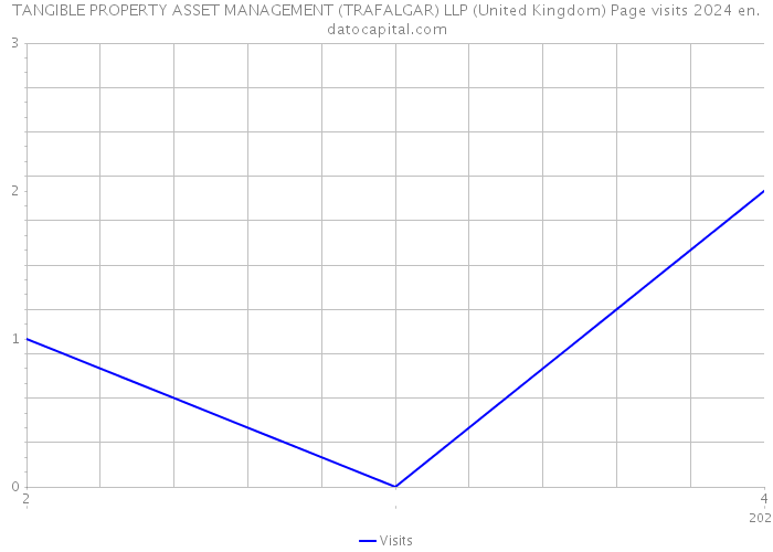 TANGIBLE PROPERTY ASSET MANAGEMENT (TRAFALGAR) LLP (United Kingdom) Page visits 2024 