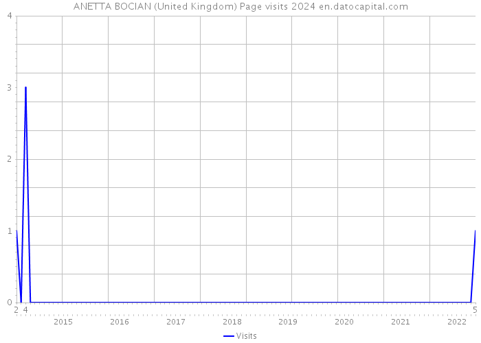 ANETTA BOCIAN (United Kingdom) Page visits 2024 