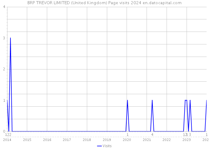 BRP TREVOR LIMITED (United Kingdom) Page visits 2024 