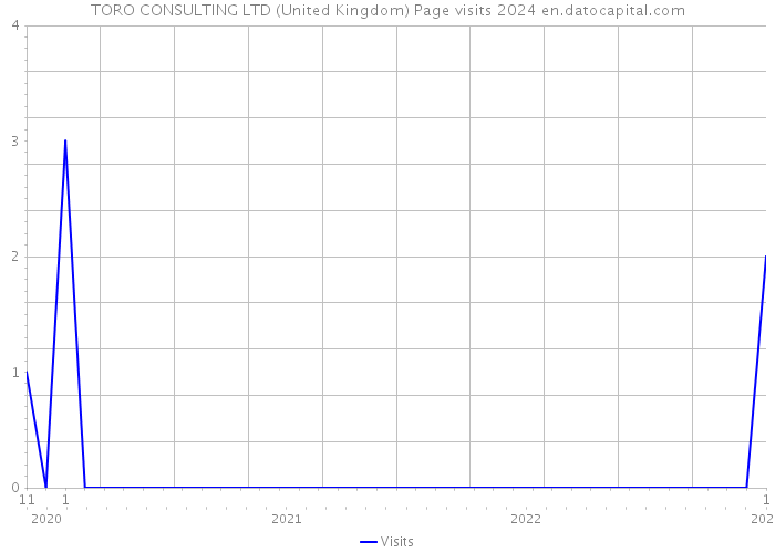 TORO CONSULTING LTD (United Kingdom) Page visits 2024 