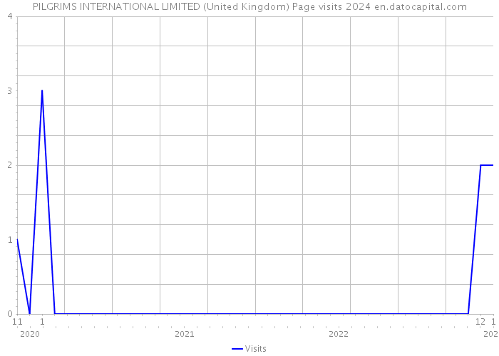 PILGRIMS INTERNATIONAL LIMITED (United Kingdom) Page visits 2024 