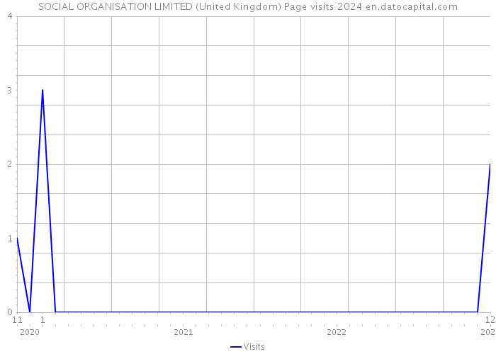 SOCIAL ORGANISATION LIMITED (United Kingdom) Page visits 2024 