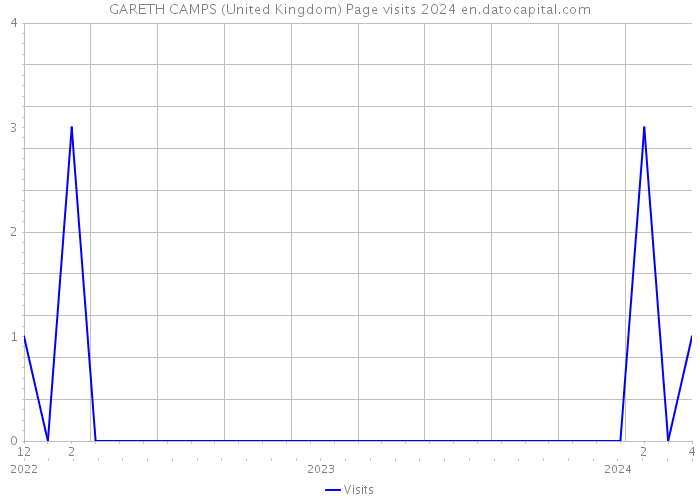 GARETH CAMPS (United Kingdom) Page visits 2024 