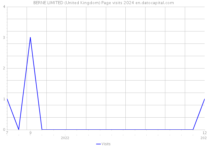 BERNE LIMITED (United Kingdom) Page visits 2024 