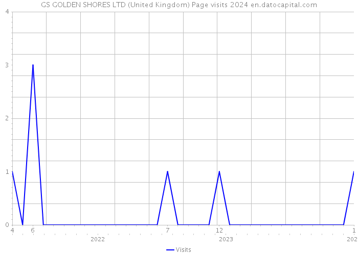 GS GOLDEN SHORES LTD (United Kingdom) Page visits 2024 