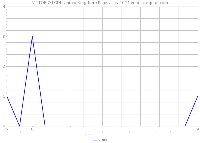 VITTORIO LODI (United Kingdom) Page visits 2024 