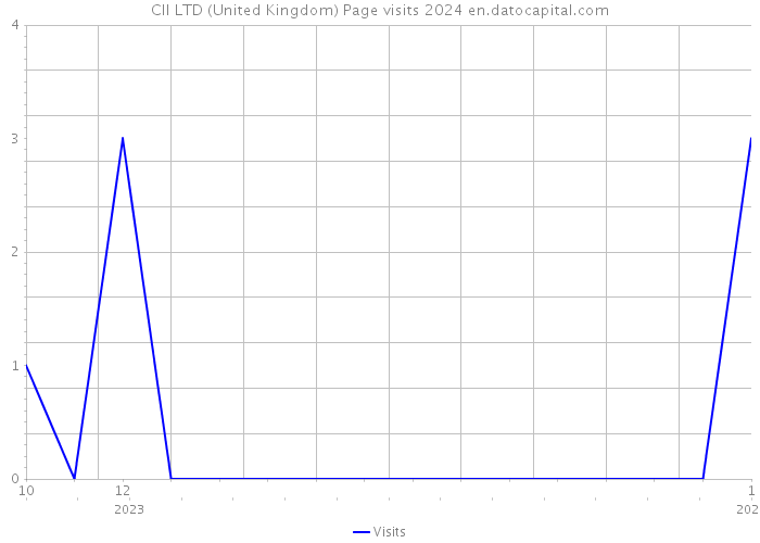 CII LTD (United Kingdom) Page visits 2024 