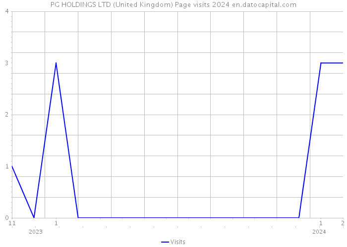 PG HOLDINGS LTD (United Kingdom) Page visits 2024 