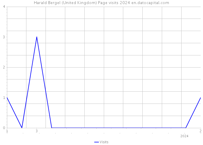 Harald Bergel (United Kingdom) Page visits 2024 