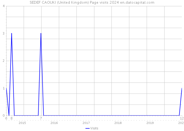 SEDEF CAOUKI (United Kingdom) Page visits 2024 