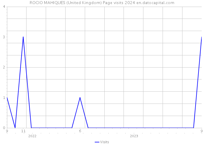 ROCIO MAHIQUES (United Kingdom) Page visits 2024 