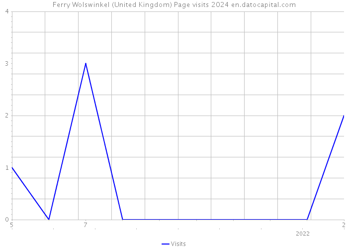 Ferry Wolswinkel (United Kingdom) Page visits 2024 