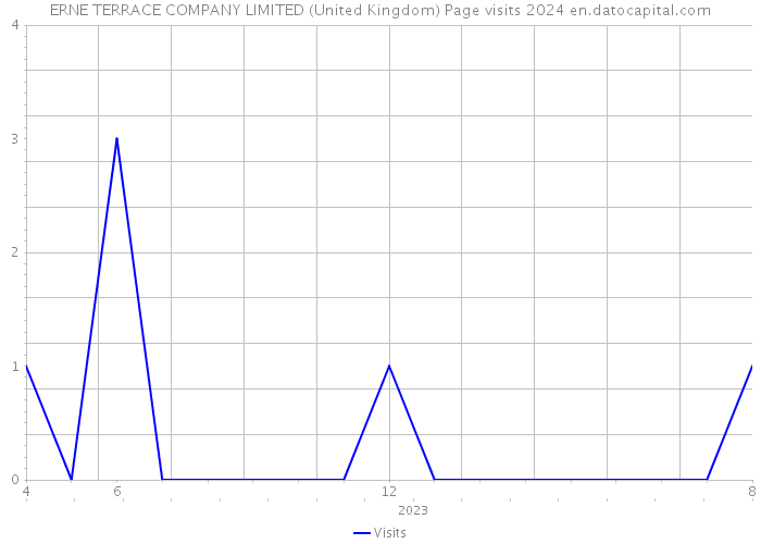 ERNE TERRACE COMPANY LIMITED (United Kingdom) Page visits 2024 