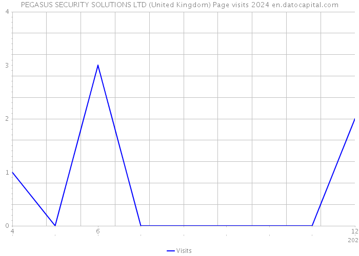 PEGASUS SECURITY SOLUTIONS LTD (United Kingdom) Page visits 2024 
