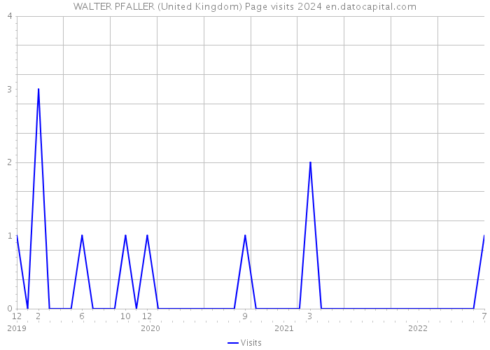 WALTER PFALLER (United Kingdom) Page visits 2024 