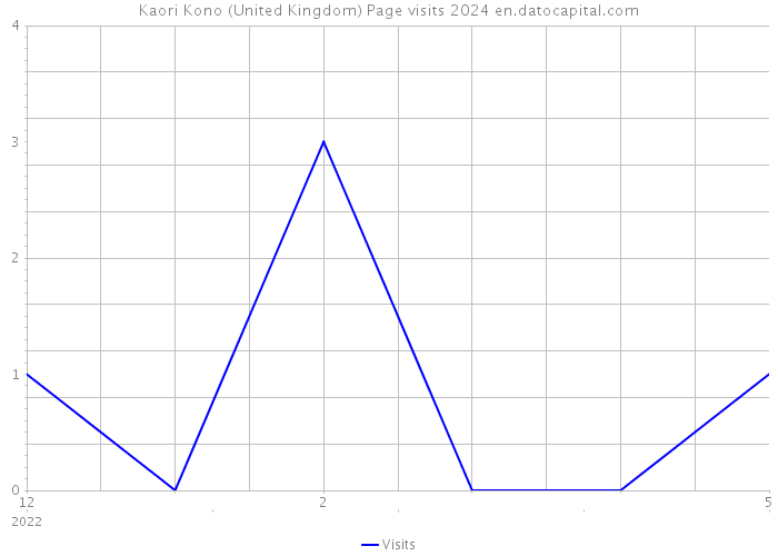 Kaori Kono (United Kingdom) Page visits 2024 