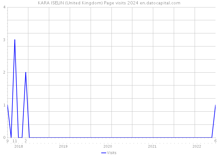 KARA ISELIN (United Kingdom) Page visits 2024 