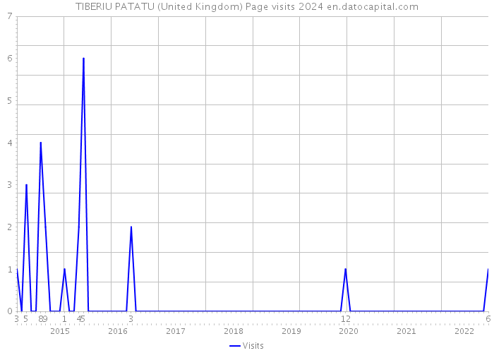 TIBERIU PATATU (United Kingdom) Page visits 2024 