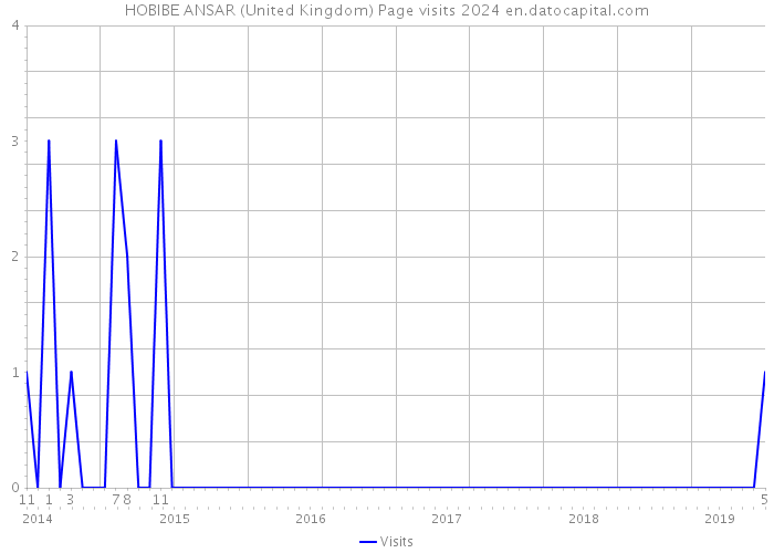 HOBIBE ANSAR (United Kingdom) Page visits 2024 