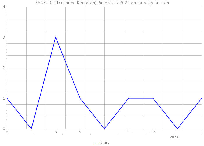 BANSUR LTD (United Kingdom) Page visits 2024 