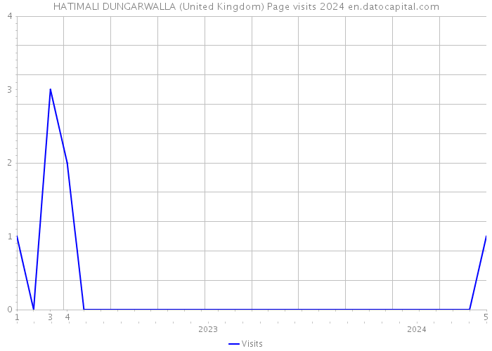 HATIMALI DUNGARWALLA (United Kingdom) Page visits 2024 