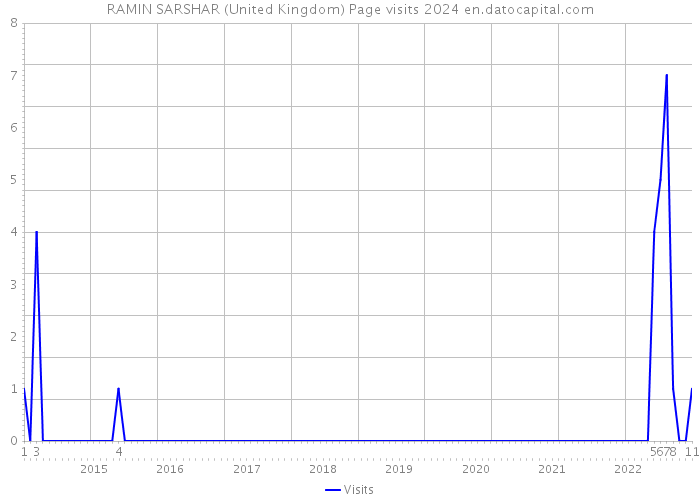 RAMIN SARSHAR (United Kingdom) Page visits 2024 