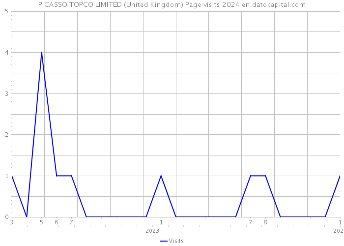 PICASSO TOPCO LIMITED (United Kingdom) Page visits 2024 