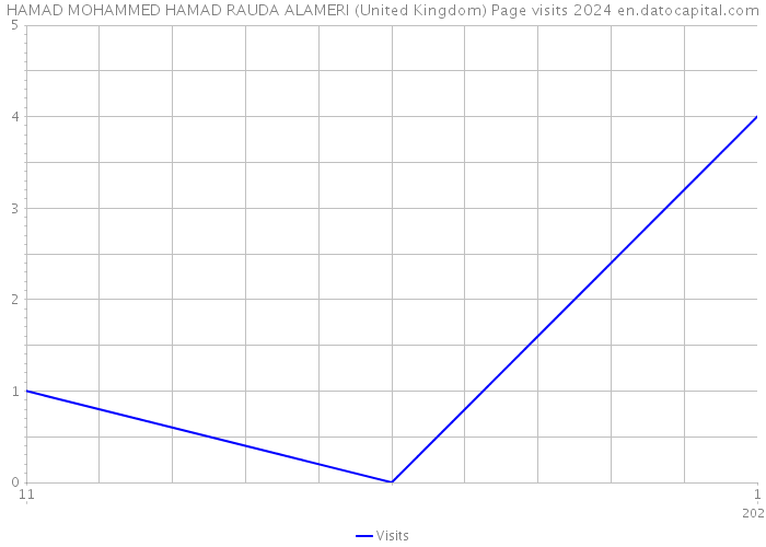 HAMAD MOHAMMED HAMAD RAUDA ALAMERI (United Kingdom) Page visits 2024 