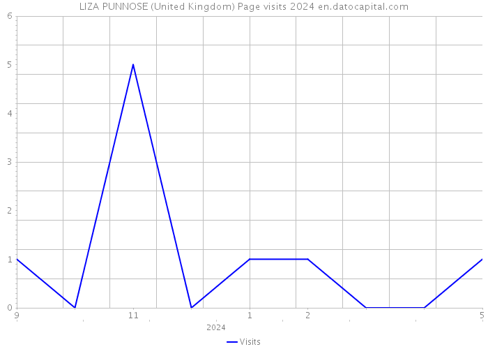 LIZA PUNNOSE (United Kingdom) Page visits 2024 