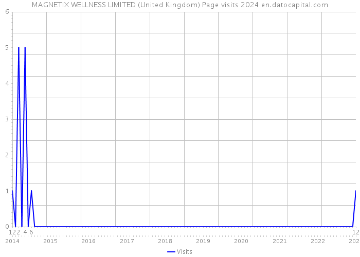 MAGNETIX WELLNESS LIMITED (United Kingdom) Page visits 2024 