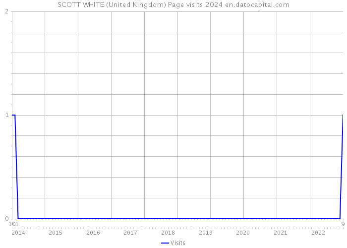 SCOTT WHITE (United Kingdom) Page visits 2024 