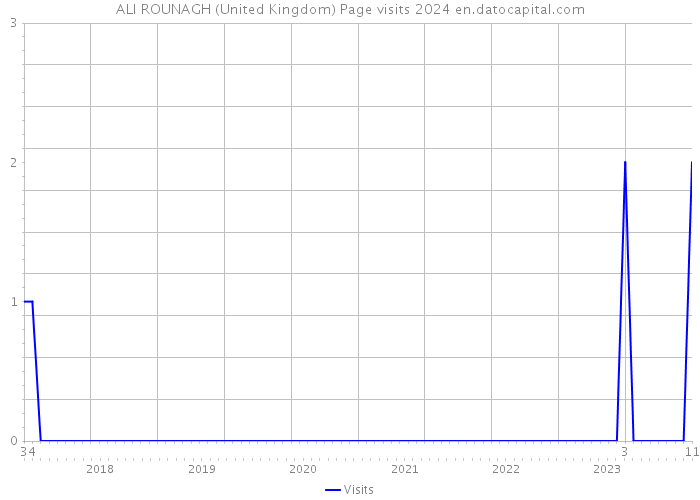 ALI ROUNAGH (United Kingdom) Page visits 2024 