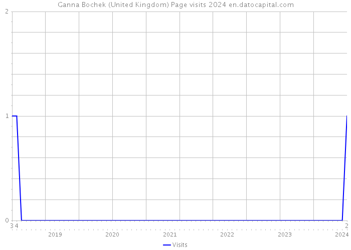 Ganna Bochek (United Kingdom) Page visits 2024 