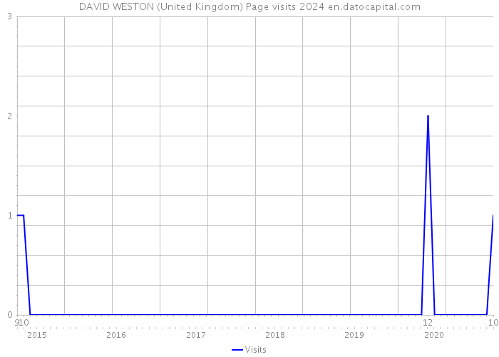 DAVID WESTON (United Kingdom) Page visits 2024 