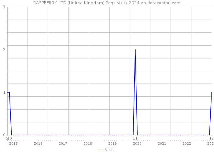 RASPBERRY LTD (United Kingdom) Page visits 2024 