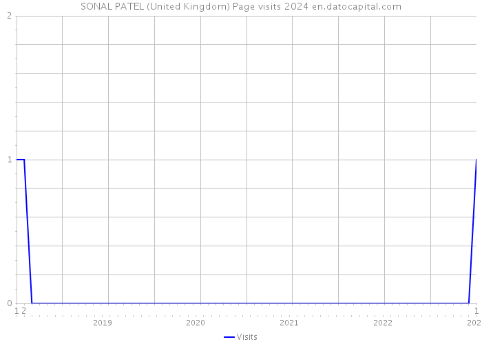 SONAL PATEL (United Kingdom) Page visits 2024 