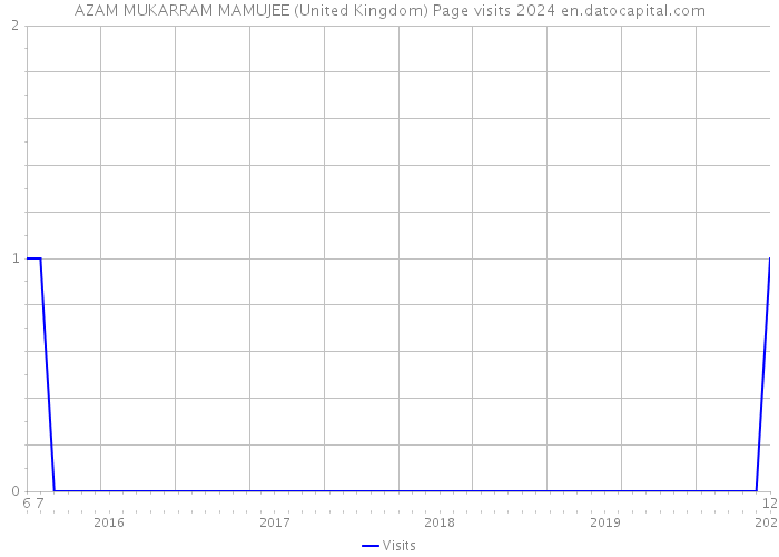 AZAM MUKARRAM MAMUJEE (United Kingdom) Page visits 2024 