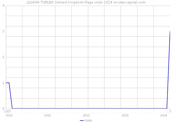 LILIANA TURLEA (United Kingdom) Page visits 2024 